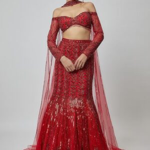Red embroidered fish-cut lehenga with net full sleeves and shimmer work – Ethnora