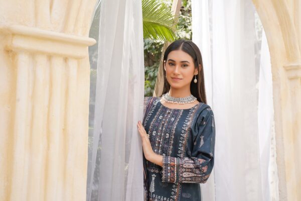 Gulbahar Maroon Embroidered Organza Suit Set - Premium Pakistani Outfit
