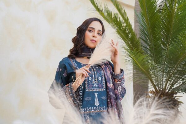 Gulbahar Maroon Embroidered Organza Suit Set - Premium Pakistani Outfit